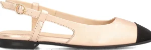 Alpe ANAIS New