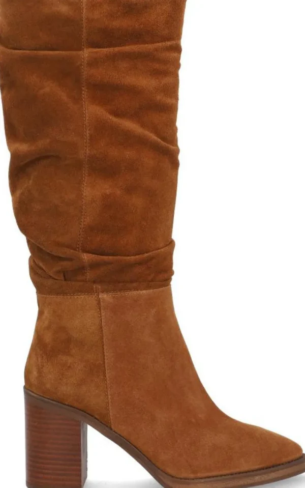 Alpe CAMDEN Online