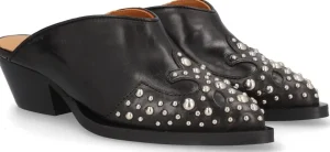 Alpe WESTERN New